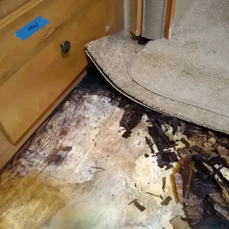 Best Wood Floor Water Damage Service in Greenwood, AR